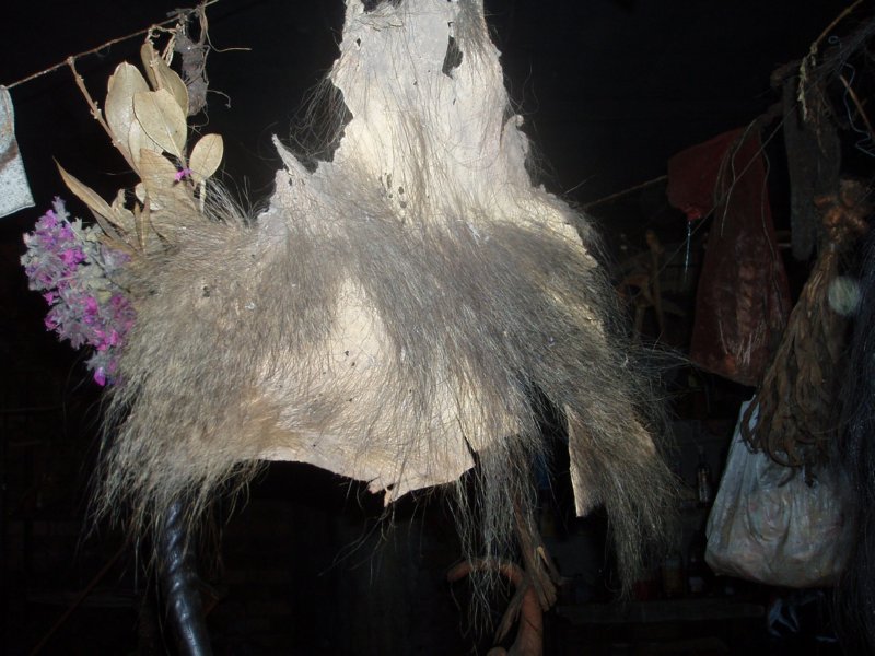 KeHa_in_South_Africa - 117